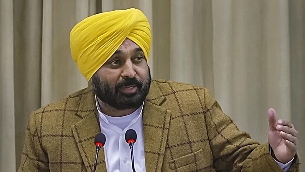 <div class="paragraphs"><p>Punjab Chief Minister Bhagwant Mann.</p></div>