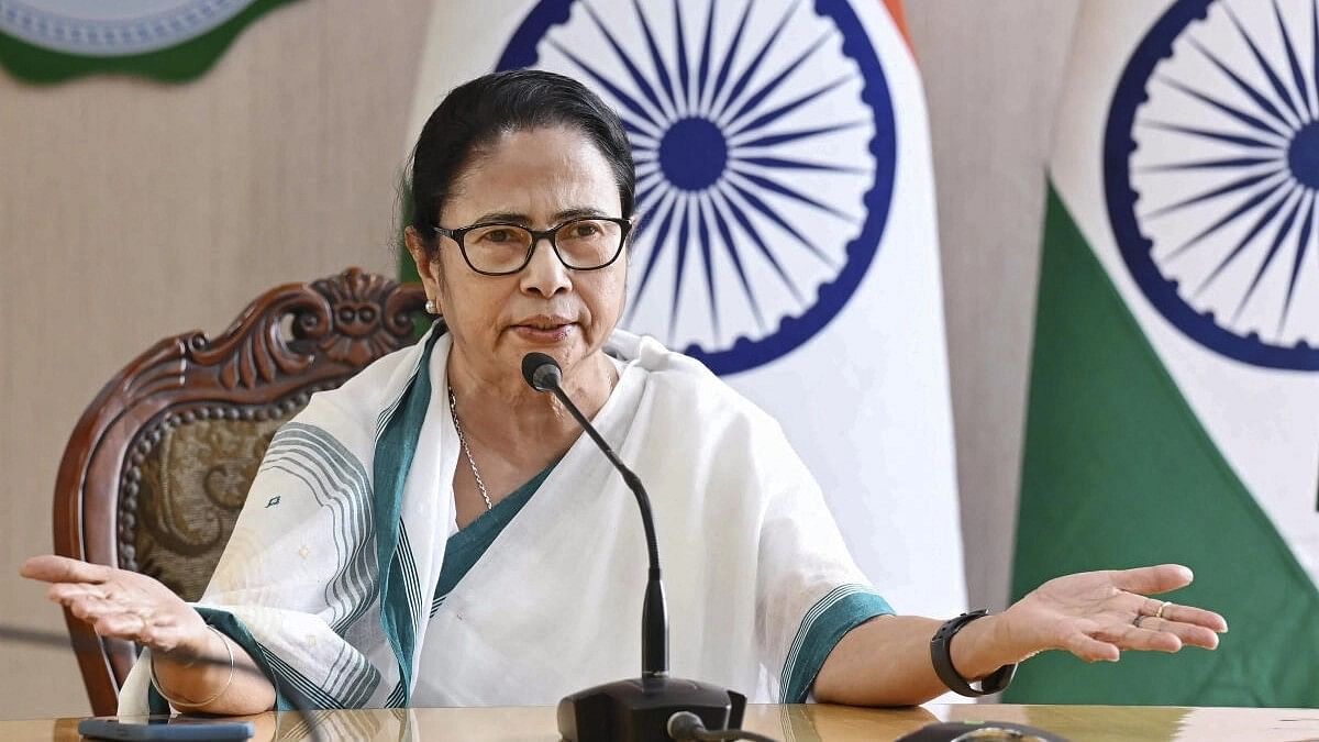 <div class="paragraphs"><p>TMC supremo Mamata Banerjee.</p></div>