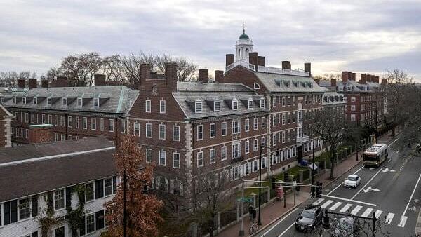 <div class="paragraphs"><p> A view of Harvard campus on John F. Kennedy Street.</p></div>