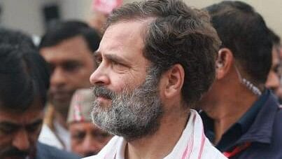 <div class="paragraphs"><p>Rahul Gandhi.</p></div>