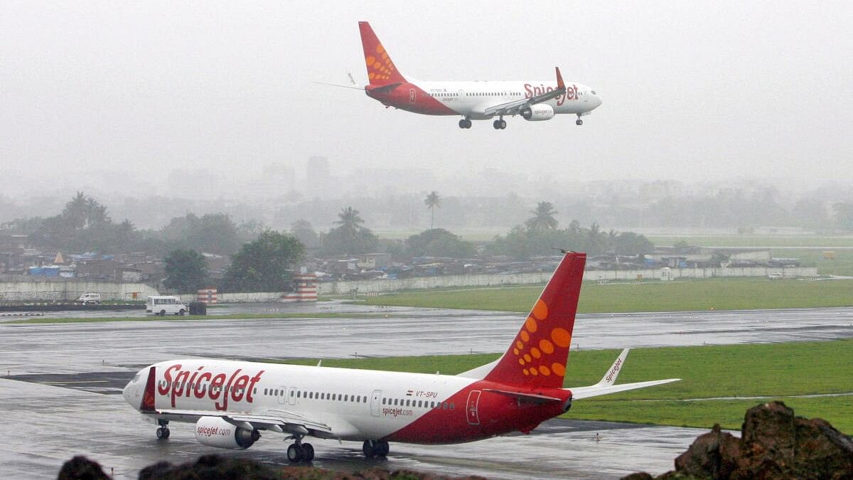 <div class="paragraphs"><p>SpiceJet aircrafts are seen on the runway at an airport in India. (Representative image)</p></div>
