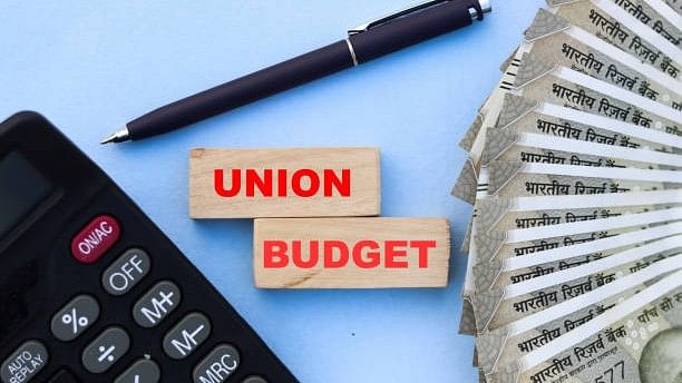 Budget 2024: How Interim Budget Is Different From Vote-on-account