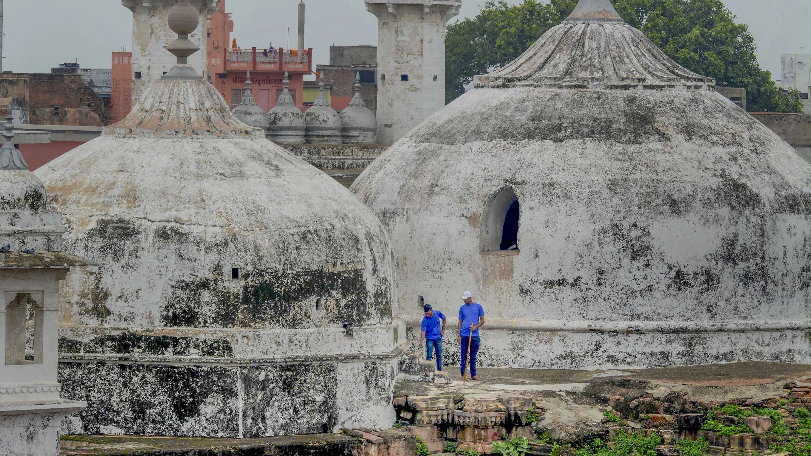 <div class="paragraphs"><p> In this  file photo, Archaeological Survey of Indias (ASI) team members during a scientific survey at the Gyanvapi mosque complex, in Varanasi.</p></div>