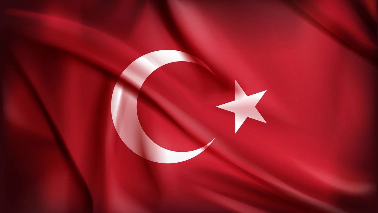 <div class="paragraphs"><p> National Flag of Turkey.</p></div>