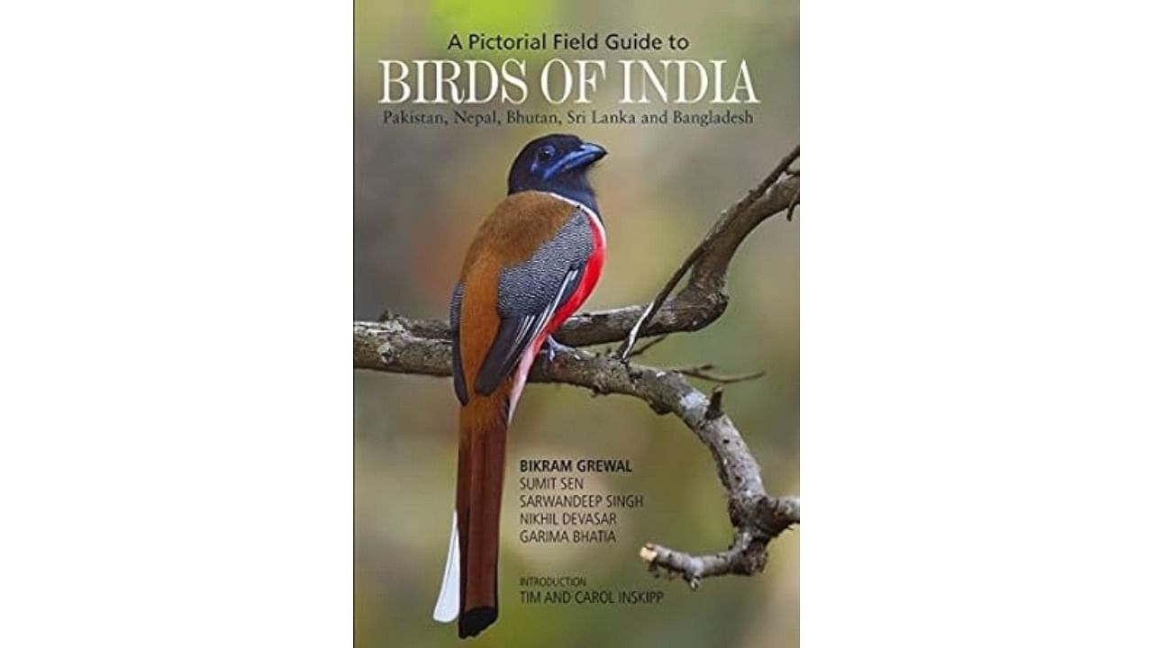 <div class="paragraphs"><p>Birds of India.</p></div>