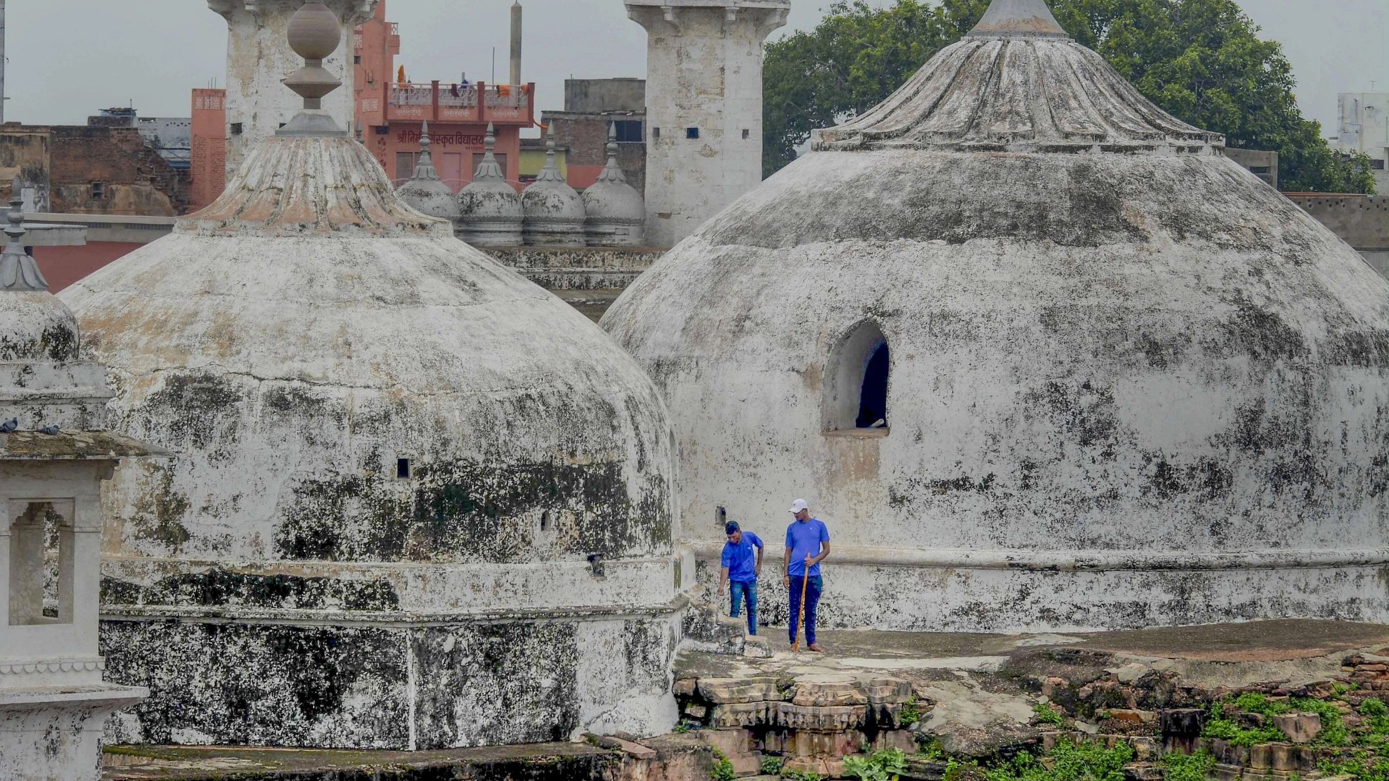 <div class="paragraphs"><p>A file image of ASI team members doing a scientific survey at the Gyanvapi mosque complex in Varanasi. </p></div>