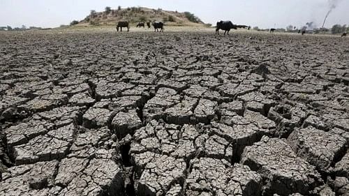 <div class="paragraphs"><p>Representative photo of a drought stricken land. </p></div>