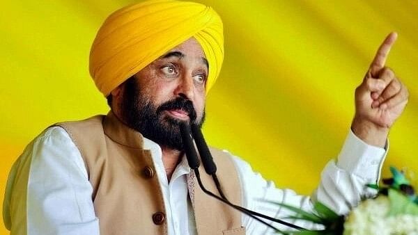 <div class="paragraphs"><p>Punjab CM Bhagwant Mann.</p></div>