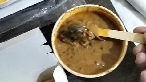 <div class="paragraphs"><p>A dead mouse was found in the <em>dal makhani</em> of the vegetarian meal.</p></div>
