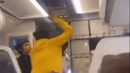 <div class="paragraphs"><p>A screengrab of the video showing the IndiGo flight passenger assaulting the pilot.</p></div>