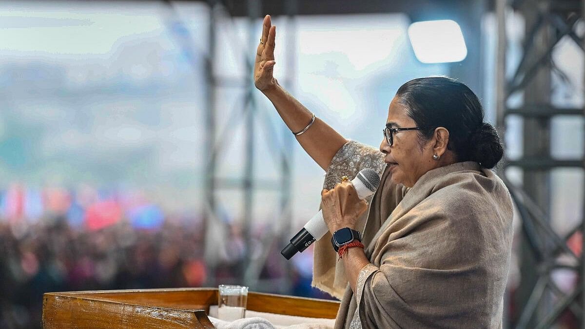 <div class="paragraphs"><p>West Bengal Chief Minister and Trinamool Congress supremo Mamata Banerjee.</p></div>