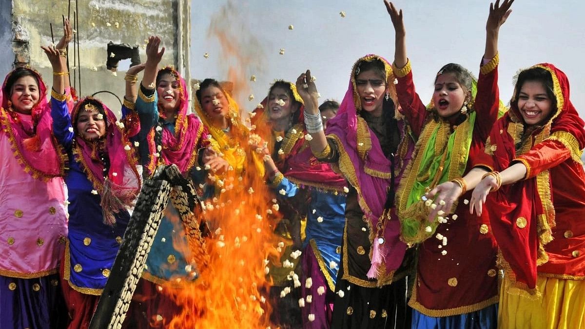 Happy Lohri 2019: Know The Significance, Customs, Rituals And Puja Timings  of The Harvest Festival | India.com