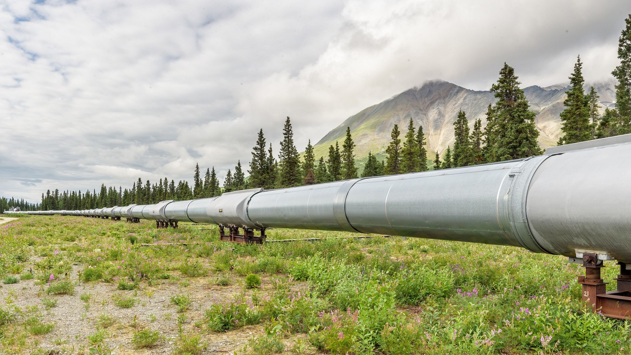 <div class="paragraphs"><p>Representative image of a gas pipeline.</p></div>