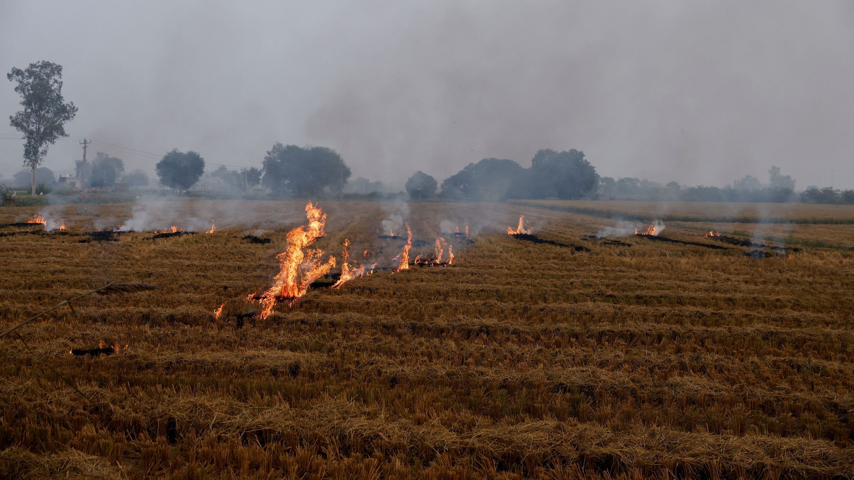 <div class="paragraphs"><p>Smoke rises from the burning stubble in a crop field in a village in Karnal district in the northern state of Haryana.</p></div>