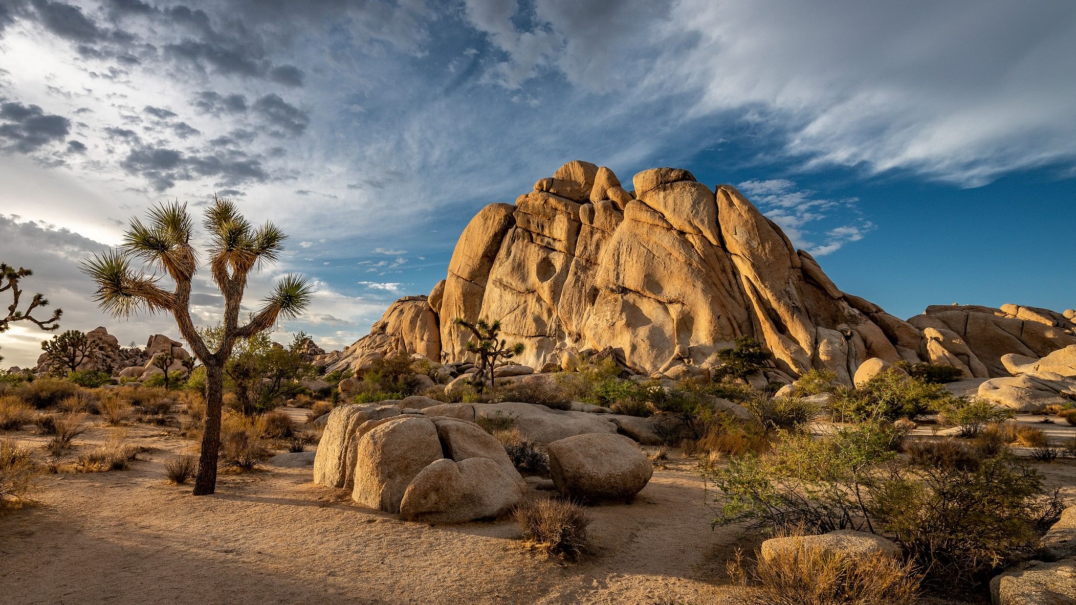 <div class="paragraphs"><p>A view of the Mojave desert.</p></div>