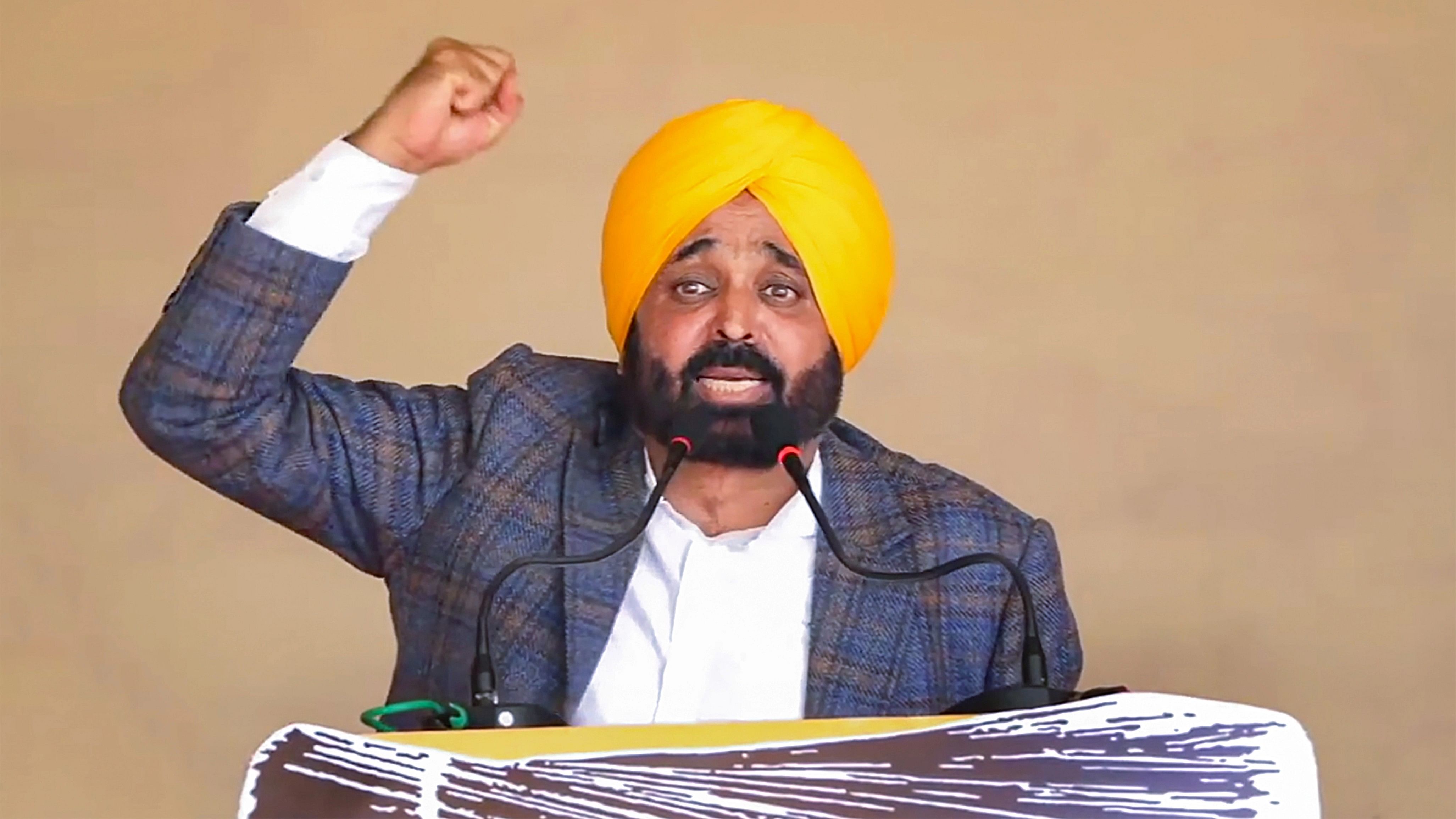 <div class="paragraphs"><p>Punjab Chief Minister Bhagwant Mann.</p></div>