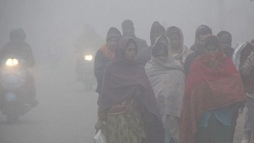 <div class="paragraphs"><p>The minimum temperature in Jaipur was recorded at 10.3 degree Celsius on Sunday morning. </p></div>