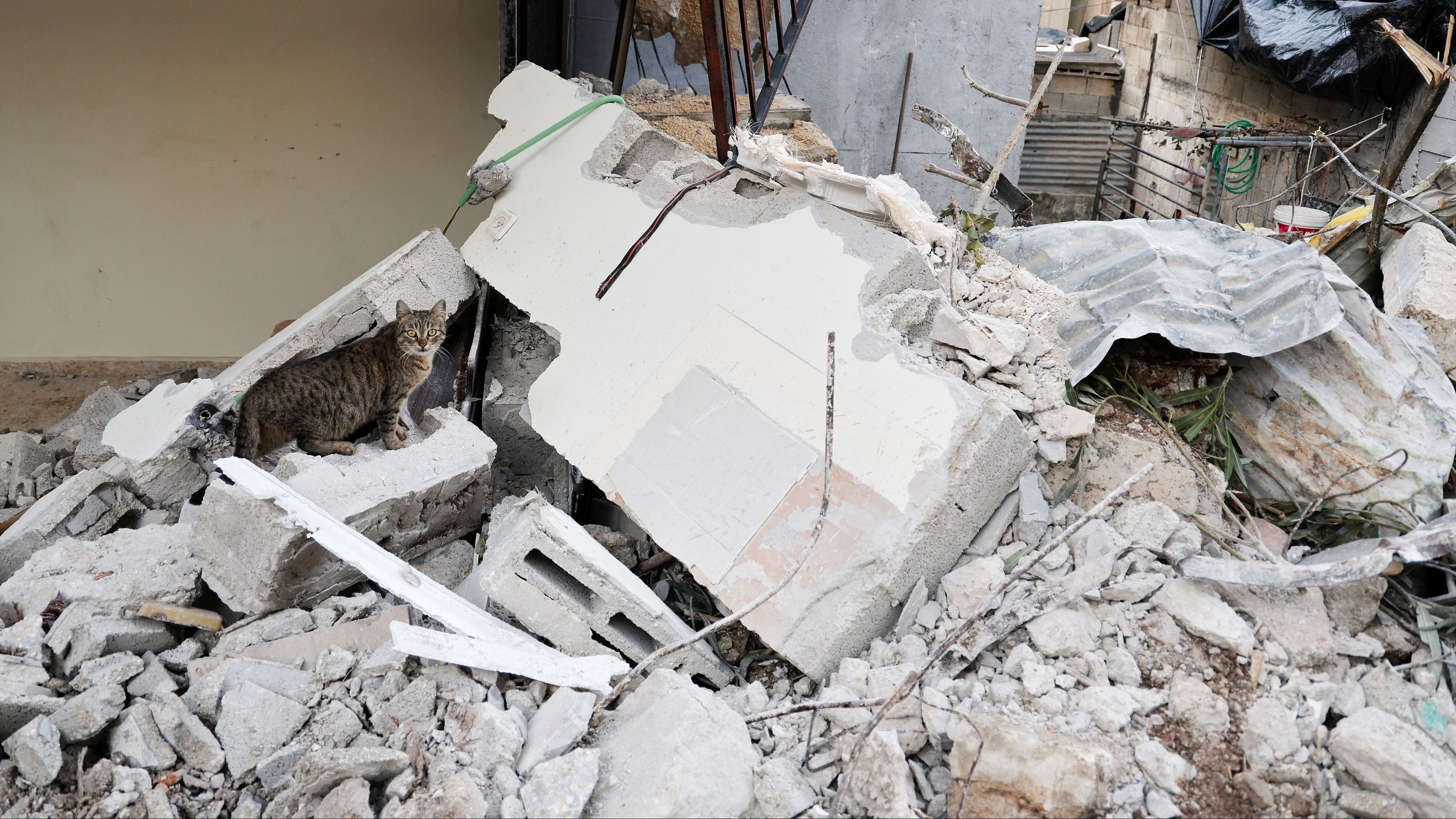 <div class="paragraphs"><p>A cat stands on rubble after an Israeli raid, at Nour Shams refugee camp in Tulkarm, in the Israeli-occupied West Bank.</p></div>