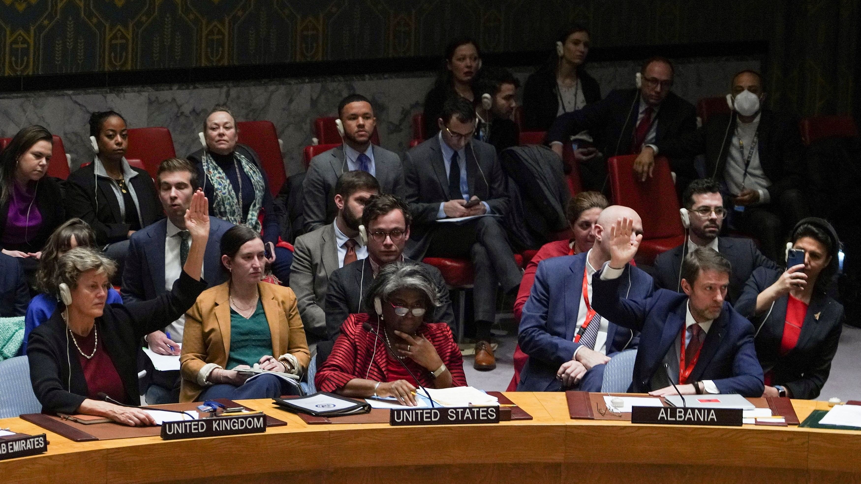 <div class="paragraphs"><p>Members of the United Nations Security Council vote on a proposal to ensure aid access to the Gaza Strip at the UN headquarters in New York. </p></div>