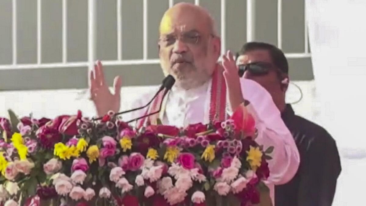 <div class="paragraphs"><p>Home Minister Amit Shah addresses a beneficiary conference, in Silvassa.</p></div>