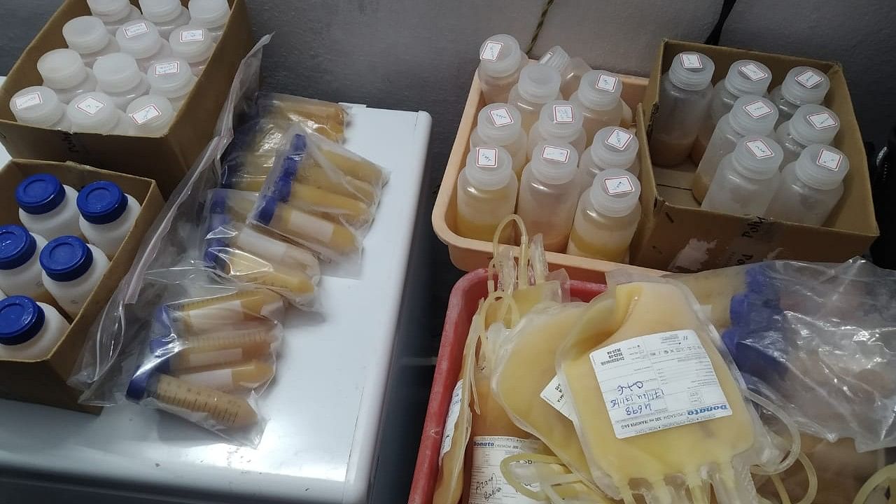 <div class="paragraphs"><p>DCA officials found huge stocks of human plasma bags and bottles stocked in the freezers located in the premises.</p></div>