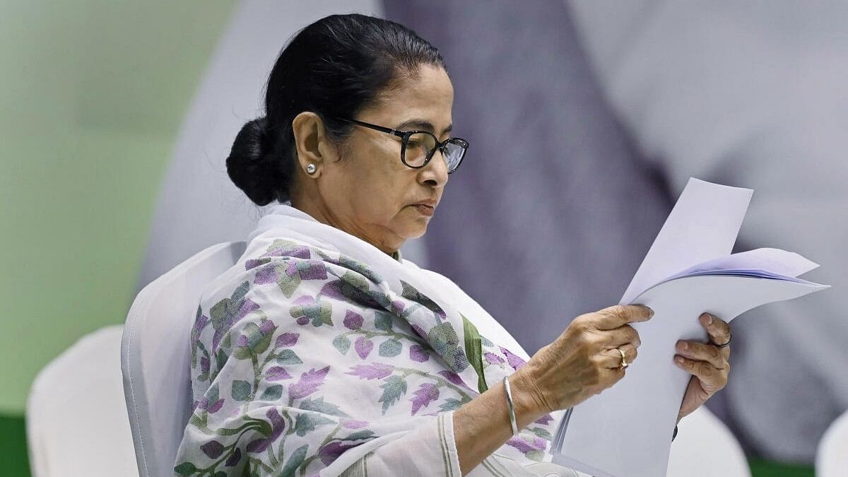 <div class="paragraphs"><p>West Bengal Chief Minister and TMC supremo Mamata Banerjee</p></div>