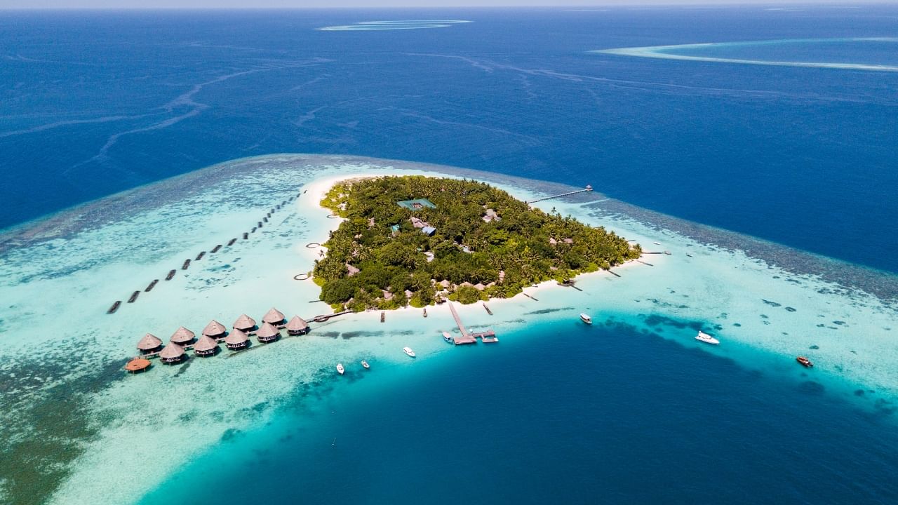 <div class="paragraphs"><p>Maldives.</p></div>