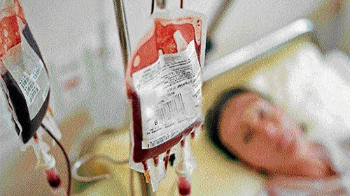 <div class="paragraphs"><p>Representative image of blood being transfused to a patient.</p></div>