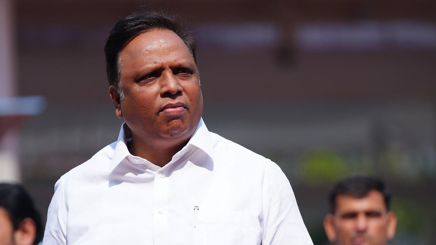 <div class="paragraphs"><p>BJP MLA Ashish Shelar.</p></div>