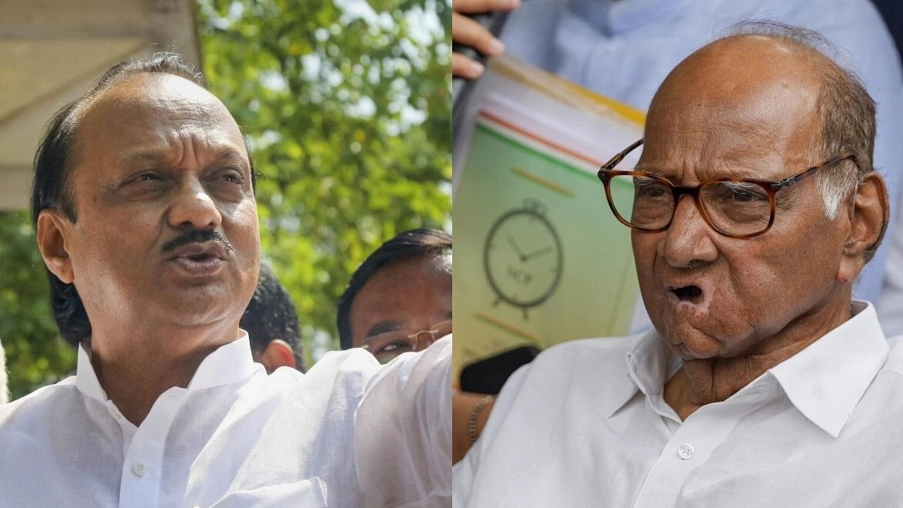 <div class="paragraphs"><p>Ajit Pawar (Left) and Sharad Pawar (Right).</p></div>