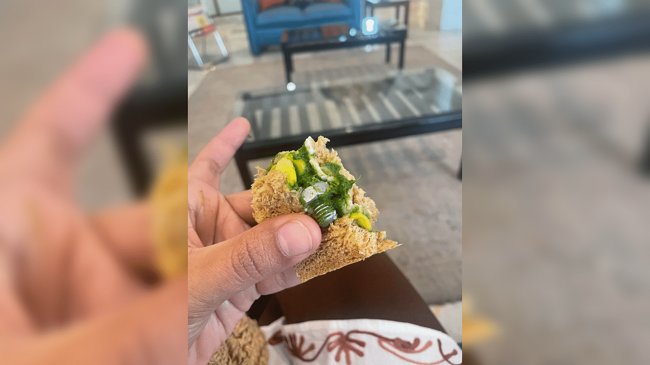 <div class="paragraphs"><p>The&nbsp;passenger&nbsp;shared his experience on social media along with a picture of the&nbsp;sandwich&nbsp;that he had after deboarding the aircraft.</p></div>