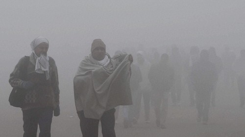 Piercing cold wave conditions continued unabated across North India on Friday. PTI Image