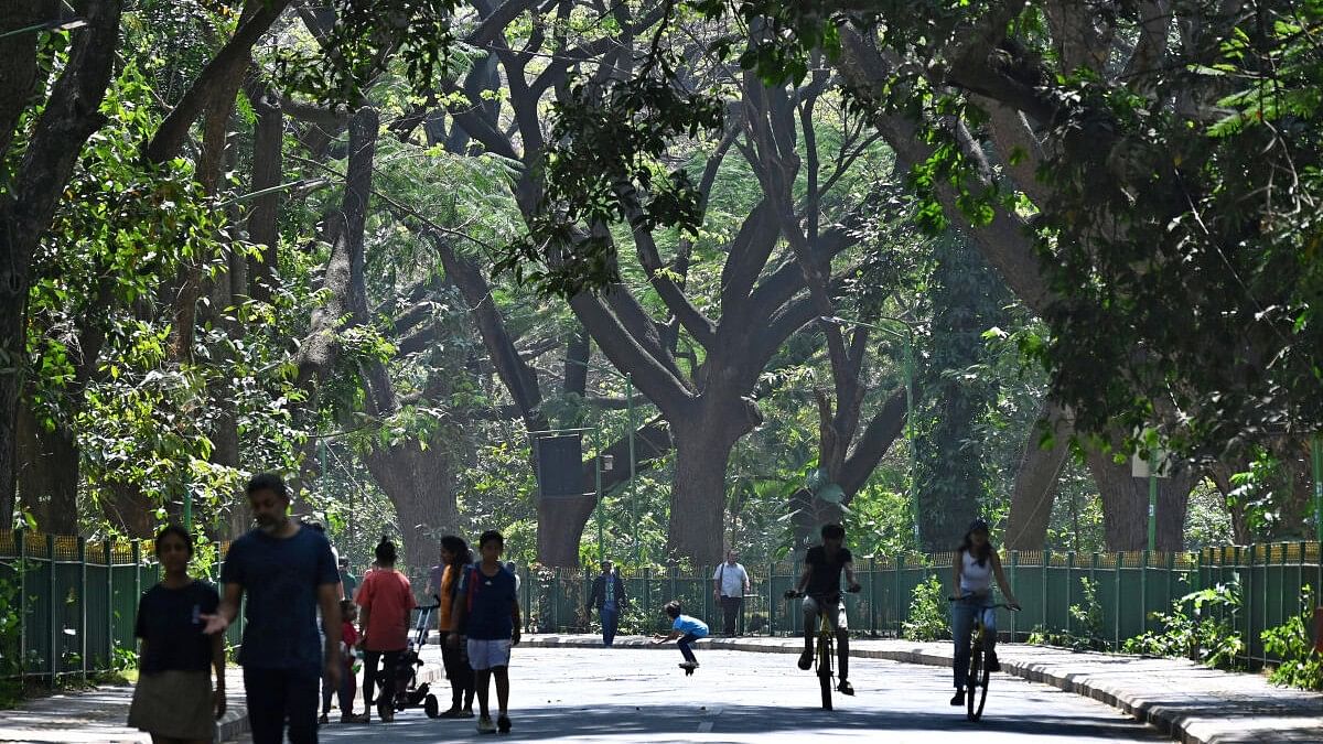 <div class="paragraphs"><p>View of Cubbon Park.</p></div>