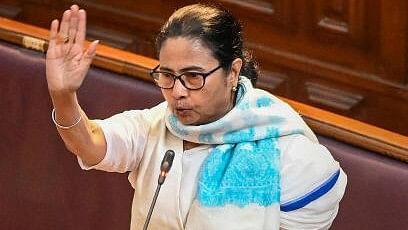 <div class="paragraphs"><p>West Bengal Chief Minister Mamata Banerjee.</p></div>