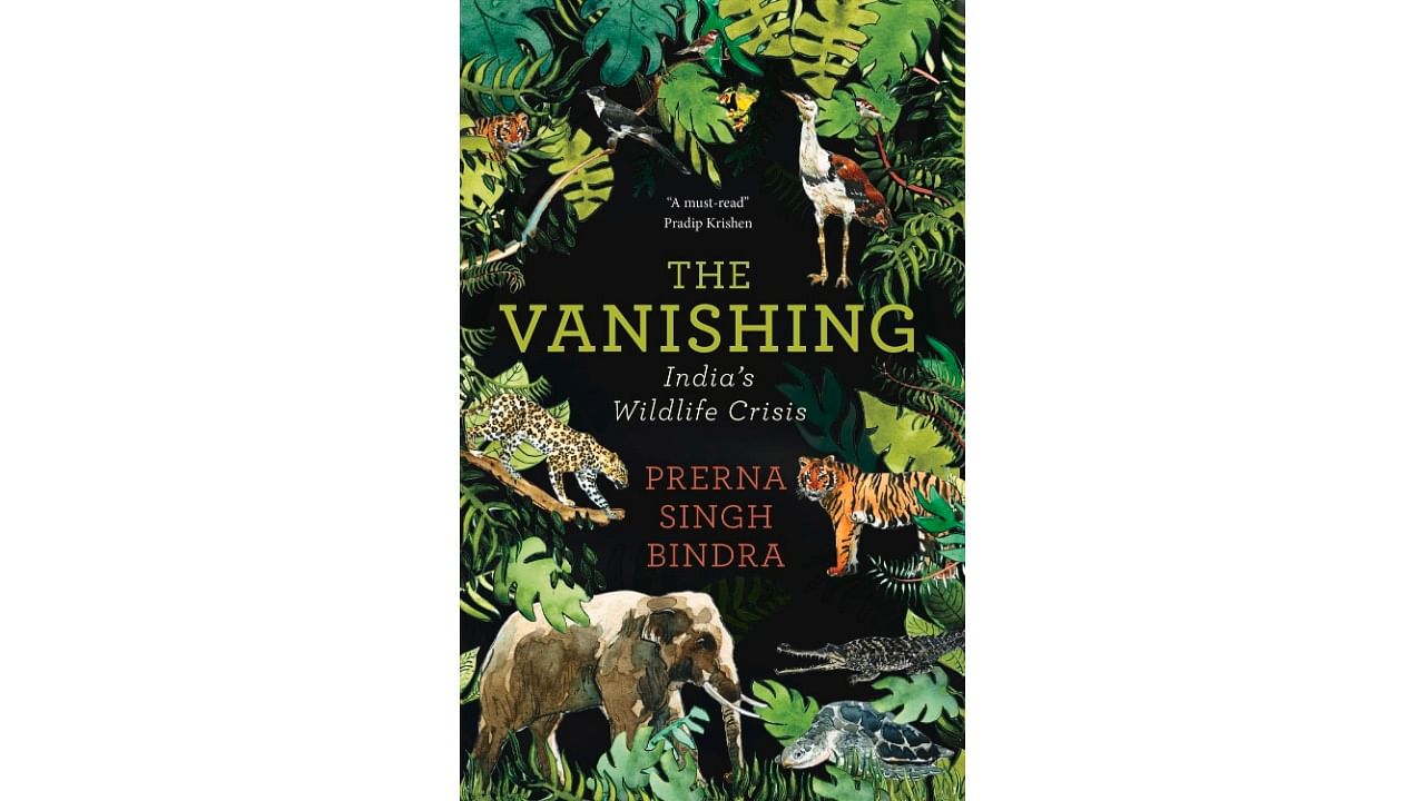 <div class="paragraphs"><p>The cover of 'The Vanishing'</p></div>