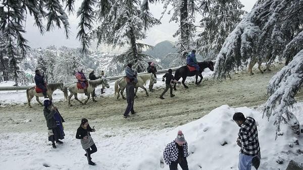 <div class="paragraphs"><p>Tourists ride on horses after fresh snowfall, at Kufri near Shimla.</p></div>