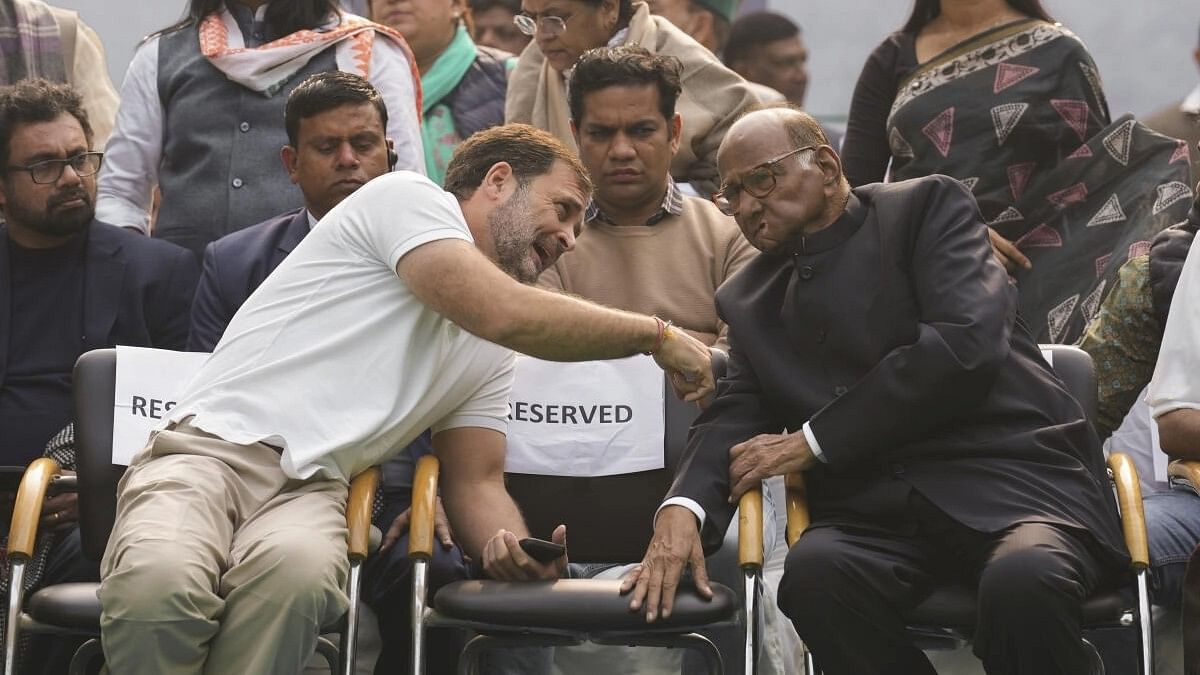 <div class="paragraphs"><p>Congress leader Rahul Gandhi and NCP chief Sharad Pawar.&nbsp;</p></div>