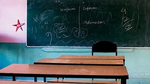 <div class="paragraphs"><p>Representative image of a traditional classroom in a school.</p></div>