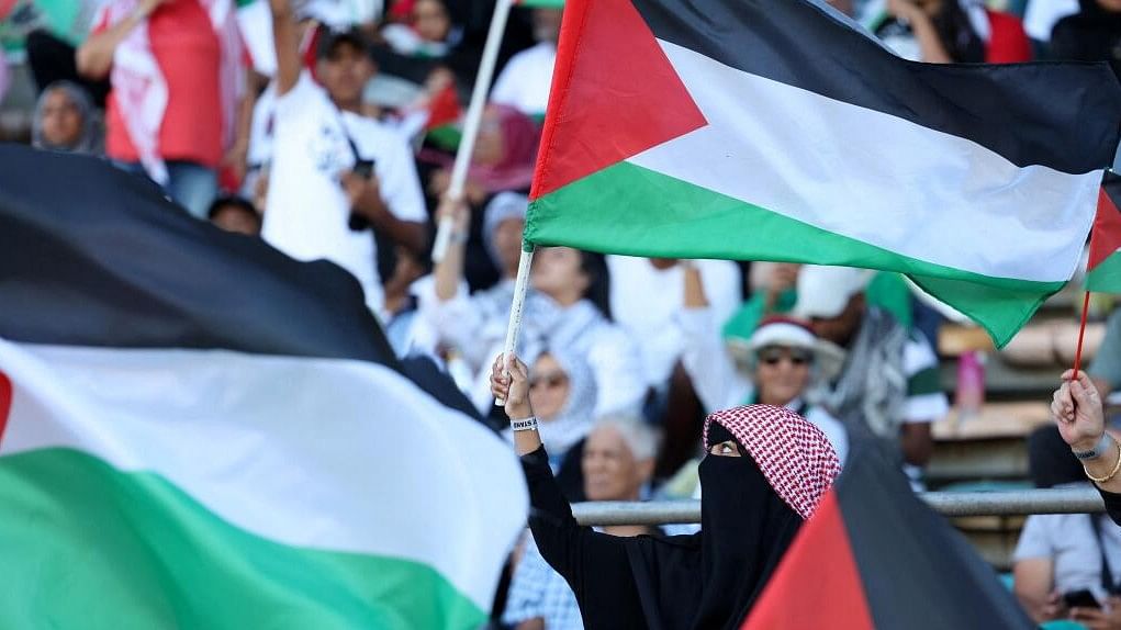<div class="paragraphs"><p>Representative image showing a pro-Palestine demonstration.</p></div>