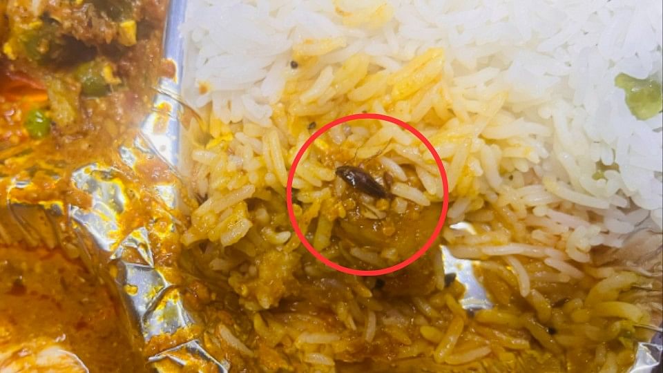 <div class="paragraphs"><p>Cockroach found in Vande Bharat food package.&nbsp;</p></div>