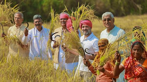 <div class="paragraphs"><p>Rahul Gandhi with farm workers in Chhattisgarh.</p></div>