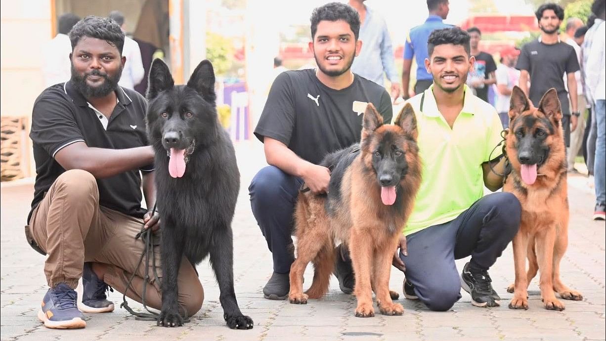 <div class="paragraphs"><p>Handlers with their German Shepherd Dog during the GSD speciality parent body show organised at Adyar Garden on the outskirts of Mangaluru.</p></div>