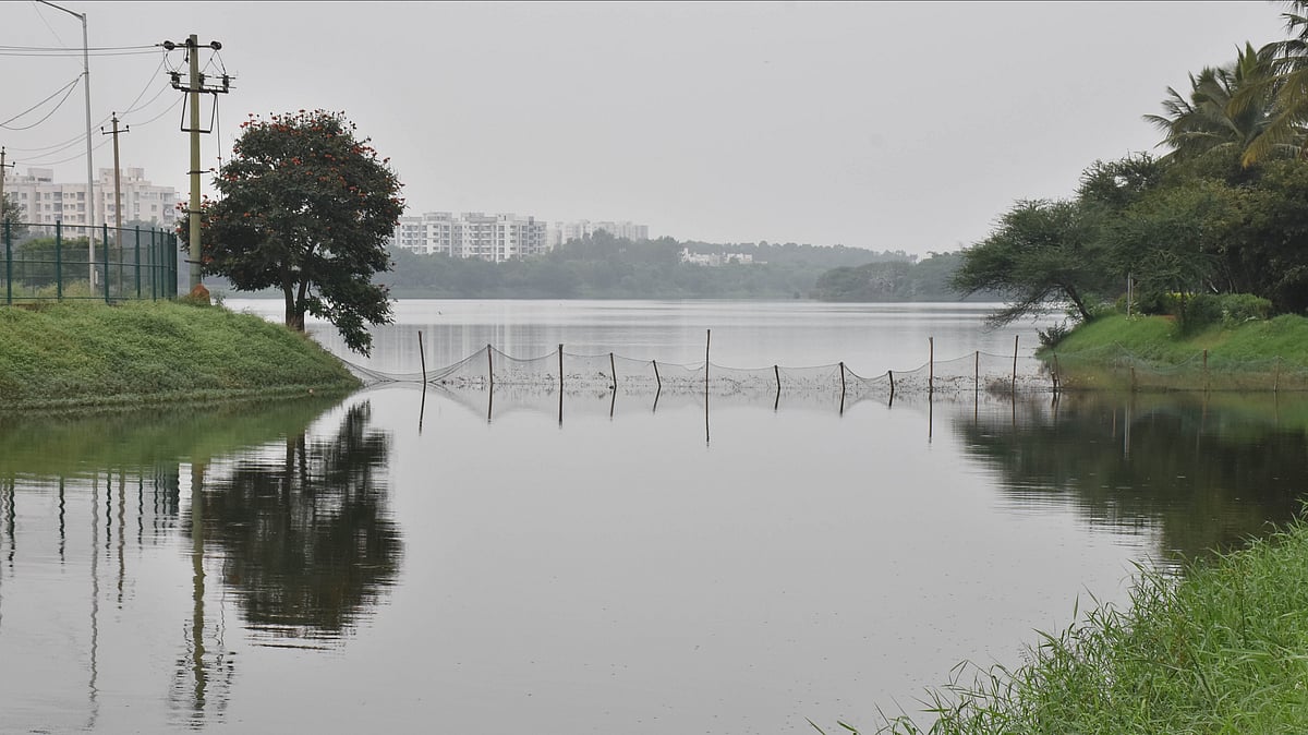 BBMP Road Project Stormwater Drain Buffer Zone Development