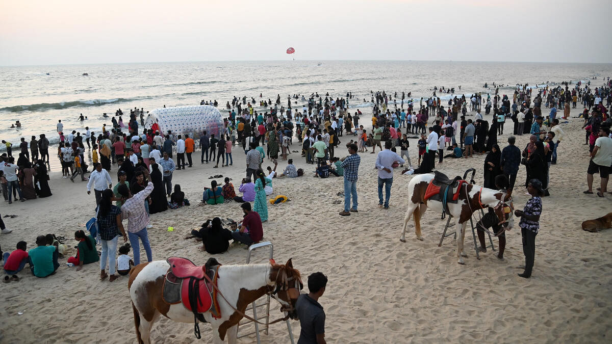 <div class="paragraphs"><p>Panambur beach in Mangaluru</p></div>