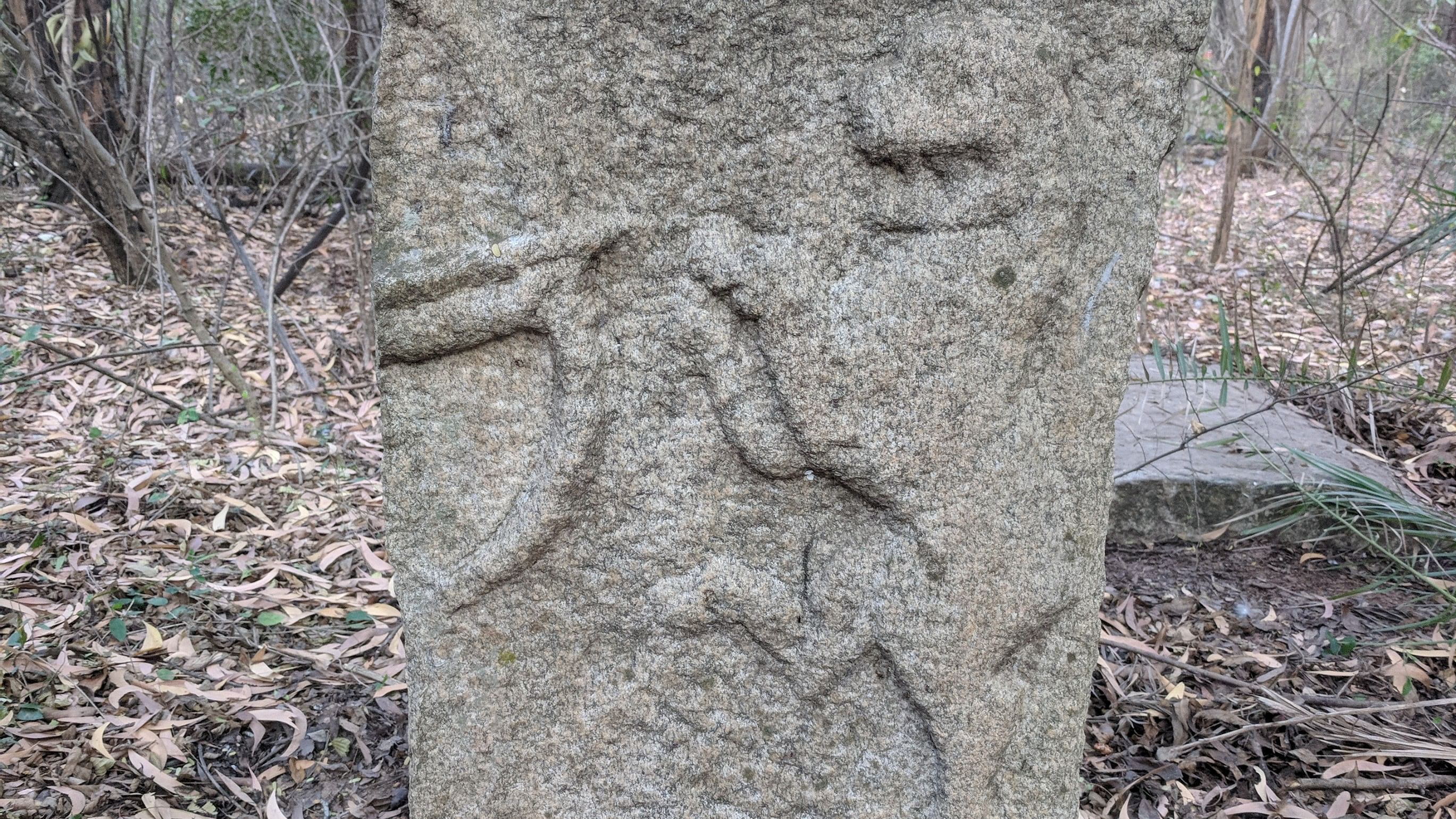 <div class="paragraphs"><p>The hero stone at the IISc depicting the death of a man while hunting a tiger.  </p></div>