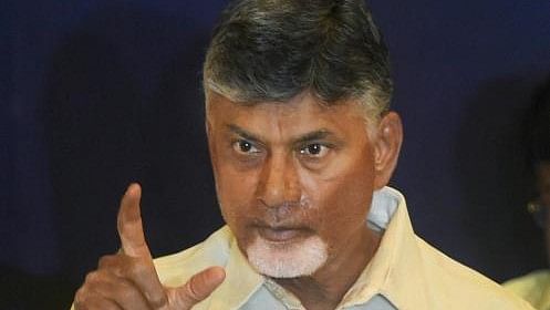 <div class="paragraphs"><p>TDP chief N Chandrababu Naidu.</p></div>