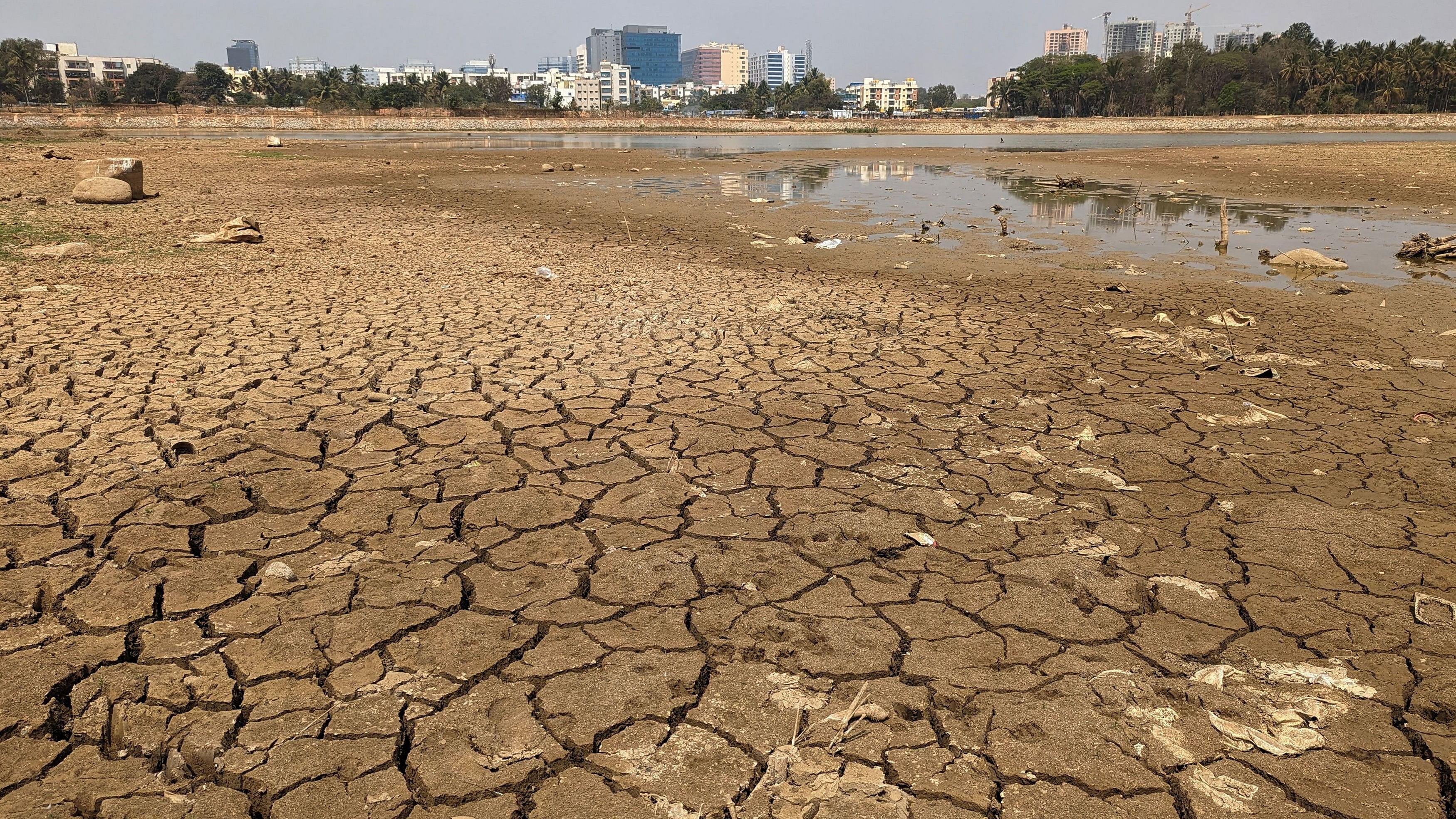 <div class="paragraphs"><p>The parched banks of Nallurahalli Lake located in the tech hub of Bengaluru. Residents say the combination of poor water supply and depleting borewells has exacerbated the crisis in several localities. </p></div>