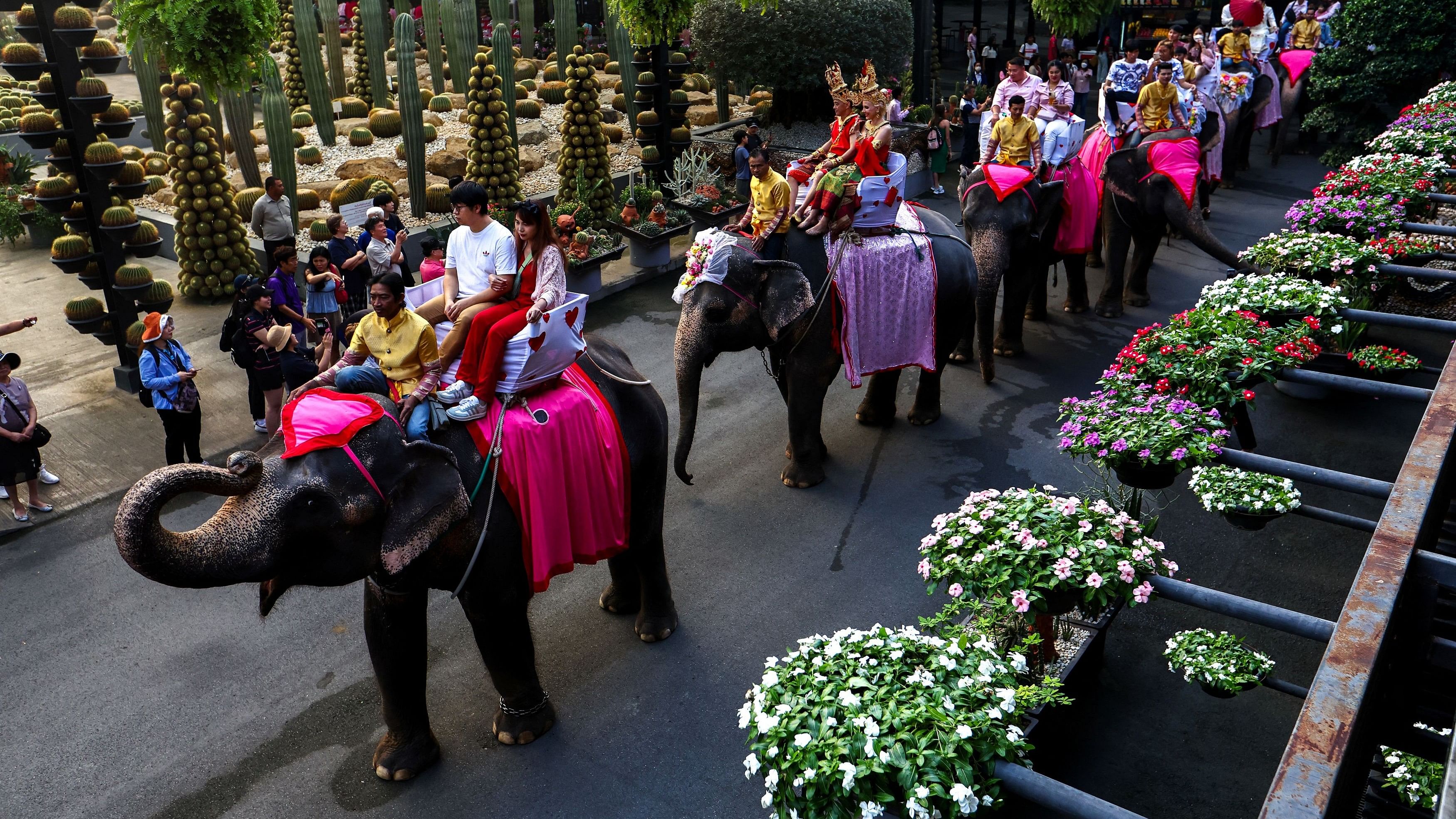 <div class="paragraphs"><p>Couples ride elephants during a Valentine's Day celebration, at the Nong Nooch Tropical Garden in Chonburi province, Thailand, February 14, 2024. </p></div>