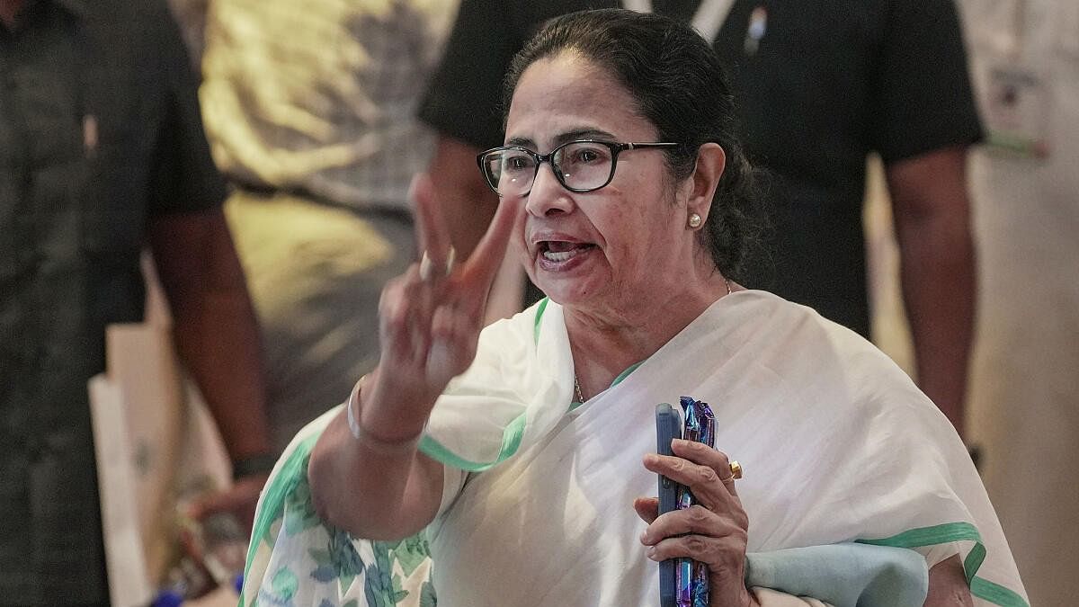 <div class="paragraphs"><p>West Bengal Chief Minister Mamata Banerjee</p></div>