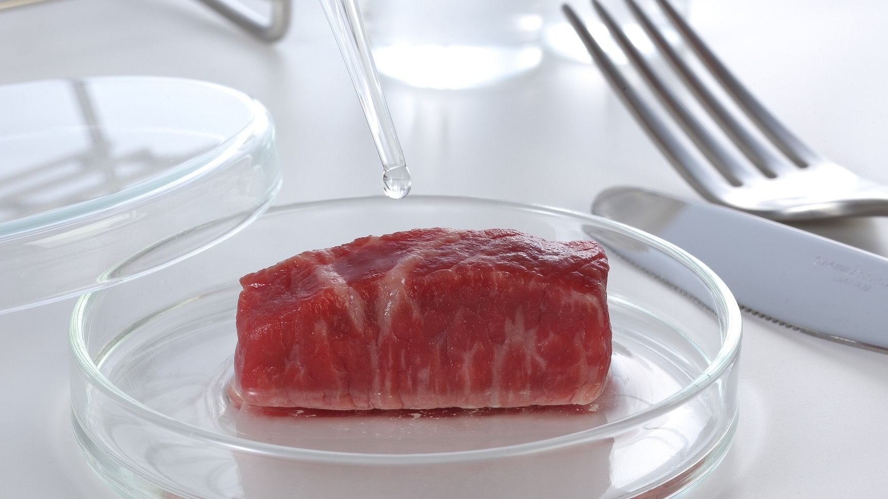 <div class="paragraphs"><p>Representative image of lab-grown meat.&nbsp;</p></div>